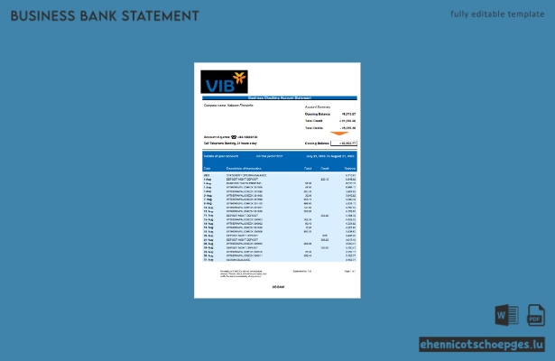Beispiel eines Kontoauszugs vom Geschäftskonto der VIB Bank (Word- und PDF-Datei)